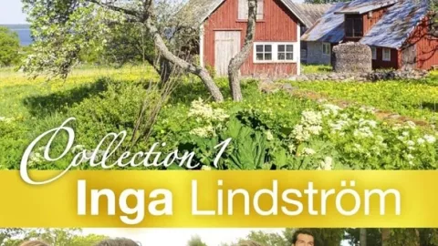 Inga Lindström: Hlas srdce