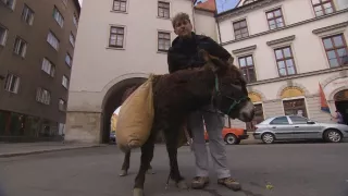 Pevnosti
