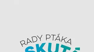 Tipy ptáka Loskutáka