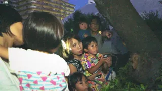 Království divočiny: Příroda v Tokiu - léto