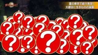 Království divočiny: Příroda v Tokiu - léto