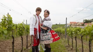 Vinaři (12)