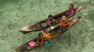 Ťažký osud starých kmeňov