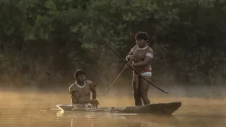 Ťažký osud starých kmeňov