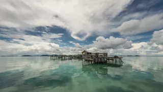 Ťažký osud starých kmeňov