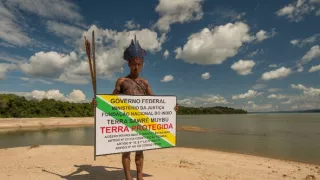 Ťažký osud starých kmeňov