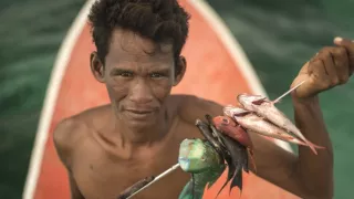 Ťažký osud starých kmeňov