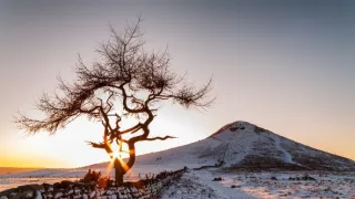 Rok v divočine (2/3)