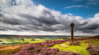 Rok v divočine (2/3)