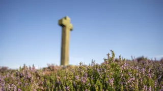 Rok v divočine (2/3)