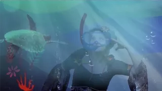 Messyho skvělá dobrodružství (24)