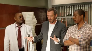 Dr. House VI (13/22)