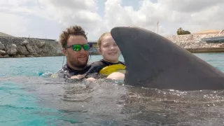 Delfíny v úlohe terapeutov