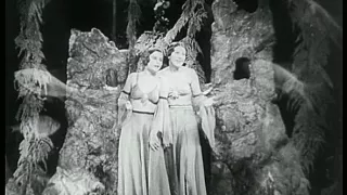 Grandsupertingltangl (9/14)