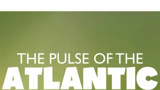 Tep Atlantického lesa