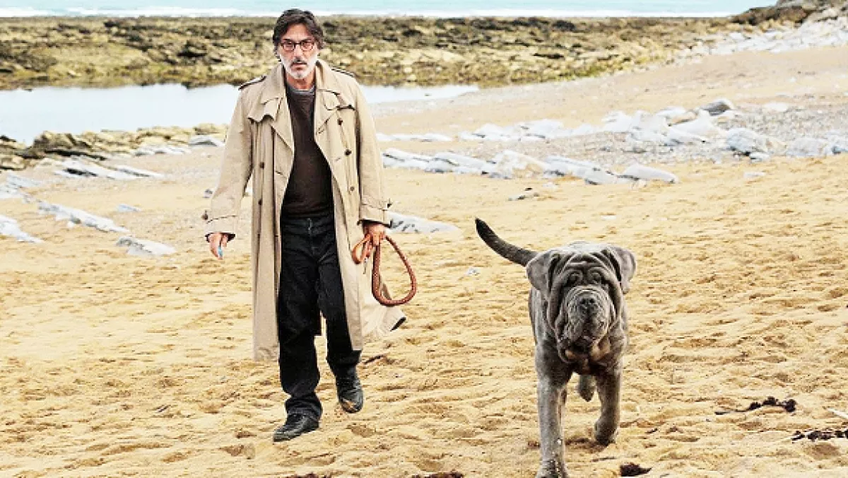 Môj pes hlupák (My Dog Stupid), 2019 - fotogaléria