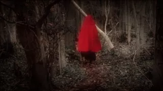 Lesné rozprávky bratov Grimmovcov