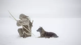 Lesné rozprávky bratov Grimmovcov