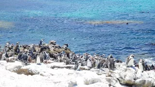 Sto divov sveta (2/13)