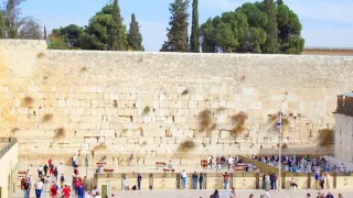 Sto divov sveta (2/13)