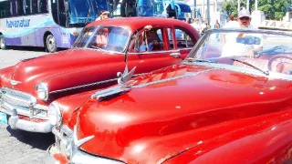 Sto divov sveta (2/13)