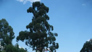 Svetom na bicykli (5/8)