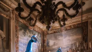 Majstri vianočných kúziel