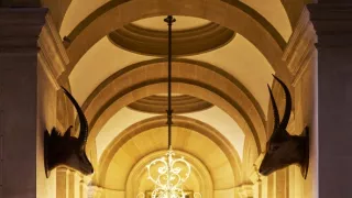 Majstri vianočných kúziel