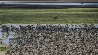 Okavango - rieka snov (4/4)