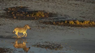 Okavango - rieka snov (4/4)