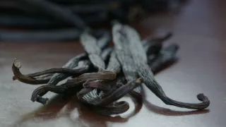 Kouzelný svět koření (4)