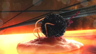 Tajný svet: Cesta do vnútra bunky