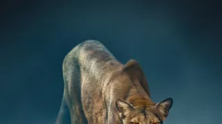 Zázračná planeta: Dynastie II (2/6)