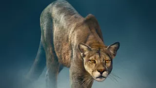 Zázračná planeta: Dynastie II (2/6)