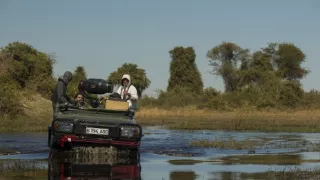 Okavango - rieka snov (4/4)