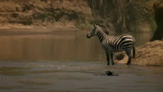 Budovatelé přírody (1/3)