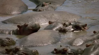 Budovatelé přírody (1/3)