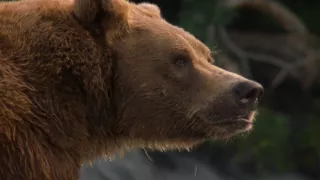 Budovatelé přírody (1/3)