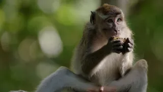 Budovatelé přírody (1/3)