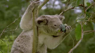 Budovatelé přírody (1/3)