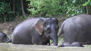 Budovatelé přírody (1/3)