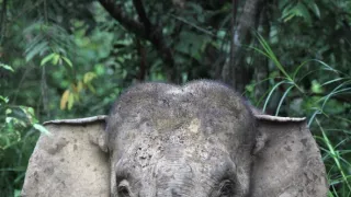 Budovatelé přírody (1/3)