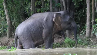 Budovatelé přírody (1/3)