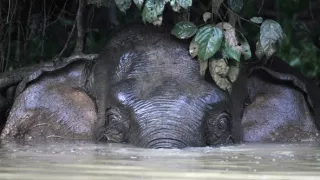 Budovatelé přírody (1/3)