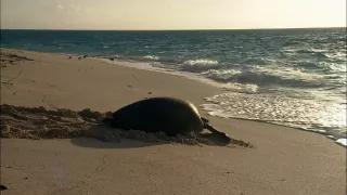 Budovatelé přírody (1/3)