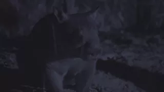 Budovatelé přírody (1/3)