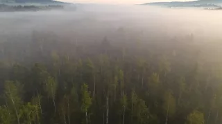 Vltava - zlatá řeka