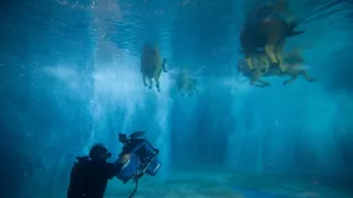 Cirque du Soleil: Vzdálené světy