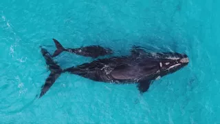 Austrália z vtáčej perspektívy (1/2)