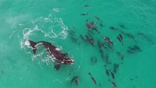 Austrália z vtáčej perspektívy (1/2)